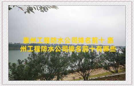 惠州工程防水公司排名前十 惠州工程防水公司排名前十有哪些